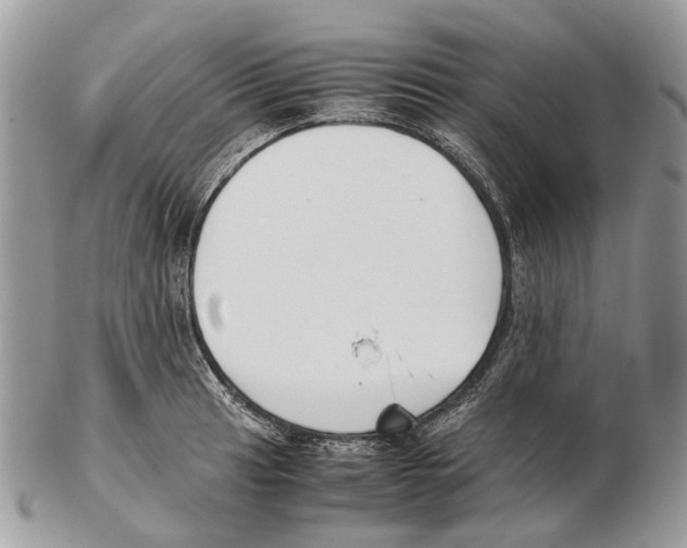 X0000102471041200809051329
