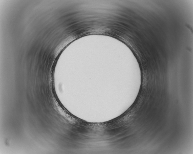 X0000102471042200809051329