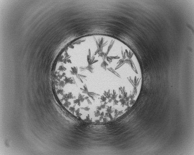 X0000102471043200809051329