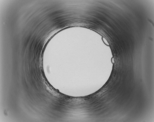 X0000102471044200809051329