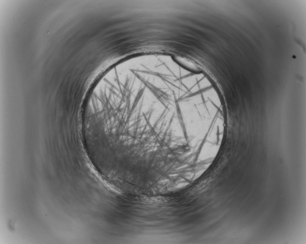 X0000102471045200809051329