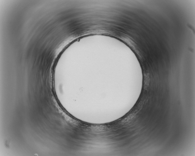 X0000102471046200809051329