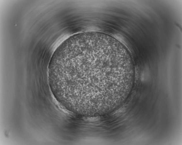 X0000102471047200809051329