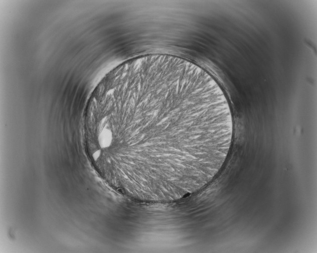 X0000102471048200809051329