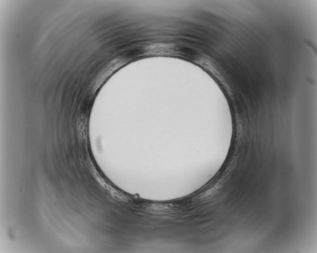X0000102471049200809051329