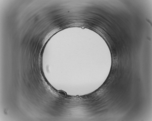 X0000102471050200809051329