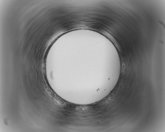 X0000102471051200809051329