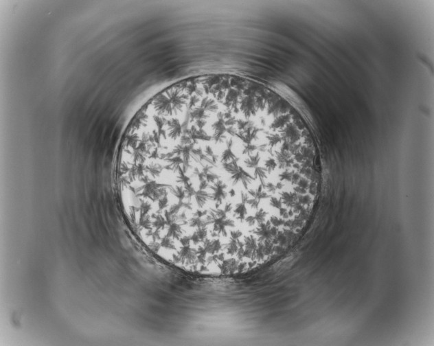 X0000102471052200809051329