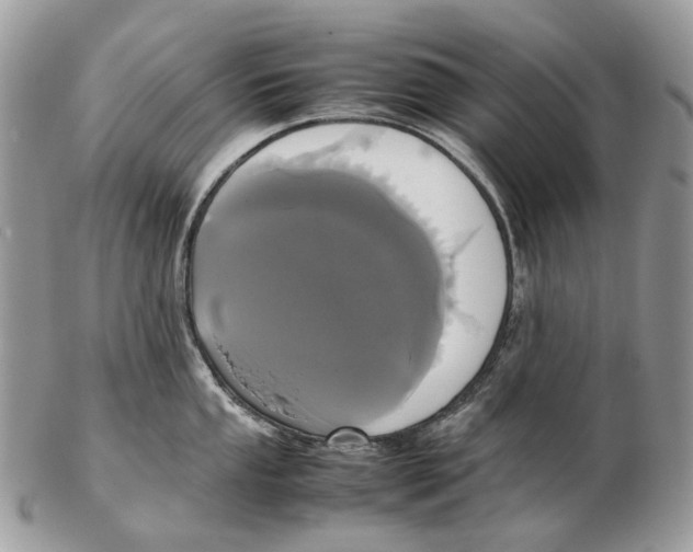 X0000102471053200809051329
