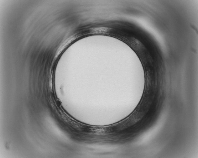 X0000102471054200809051329
