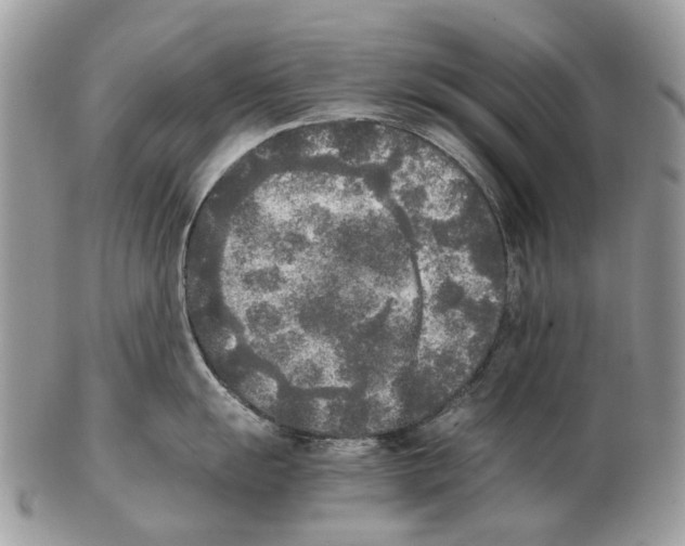 X0000102471055200809051329