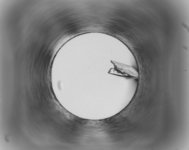 X0000102471056200809051329
