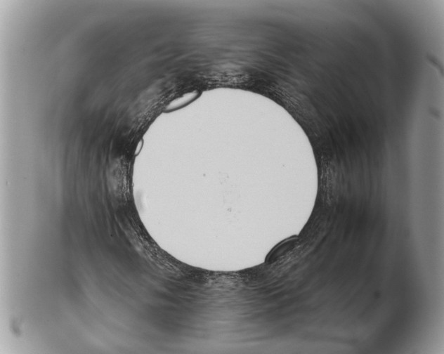 X0000102471058200809051328