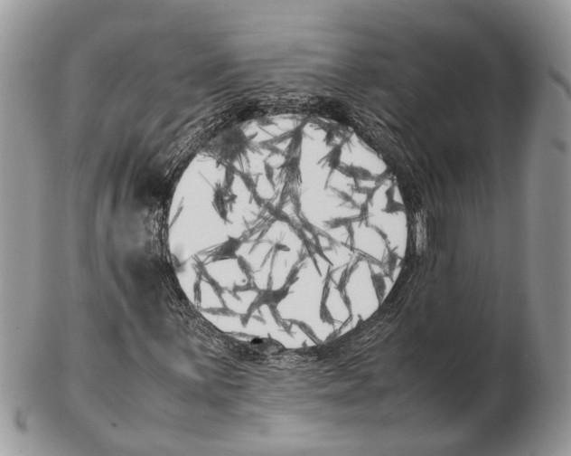 X0000102471059200809051328