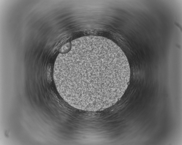 X0000102471060200809051328