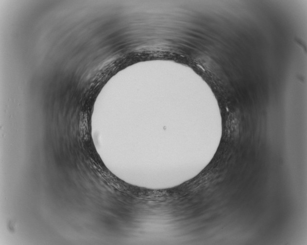 X0000102471062200809051328