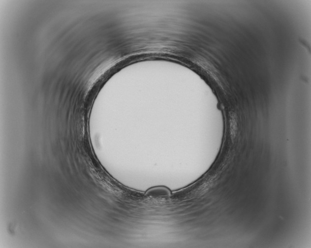 X0000102471069200809051328