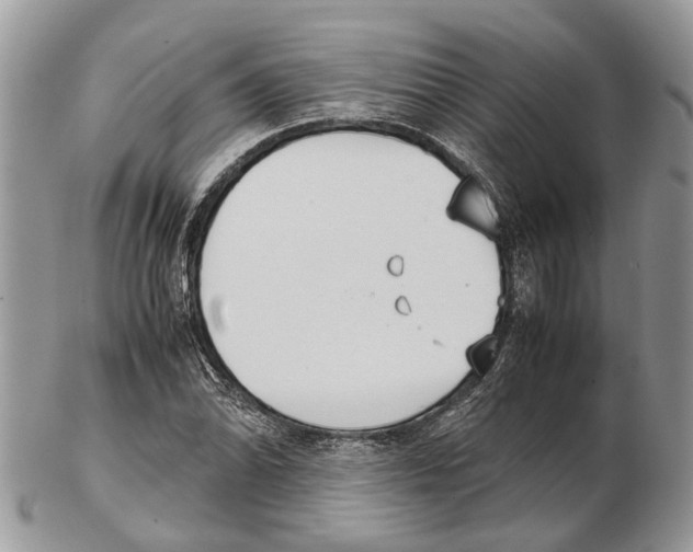 X0000102471070200809051328