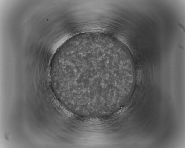 X0000102471071200809051328