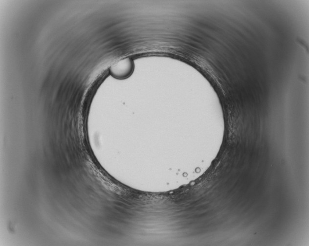 X0000102471072200809051328