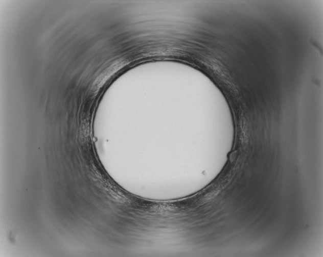 X0000102471073200809051328