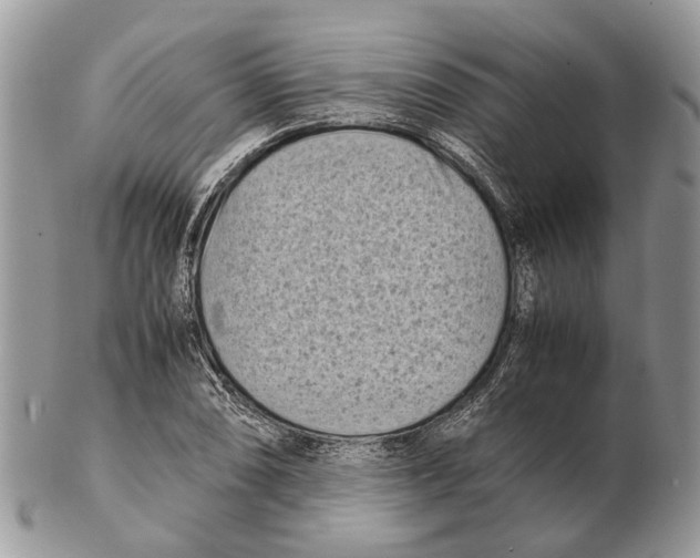 X0000102471074200809051328