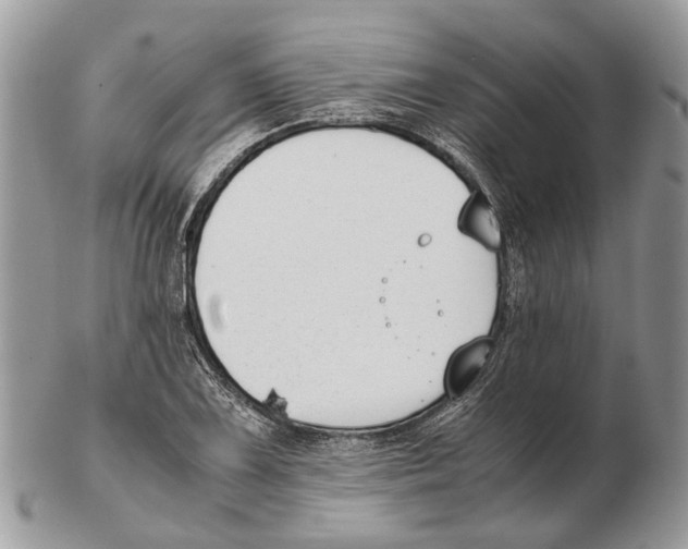 X0000102471075200809051328