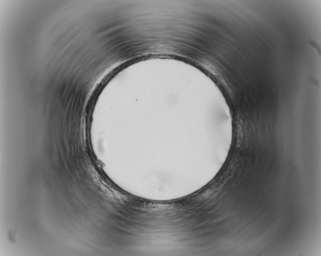 X0000102471076200809051328