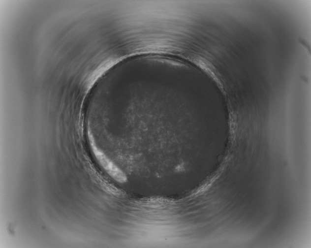 X0000102471077200809051328
