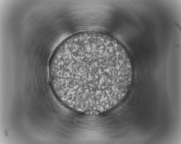 X0000102471079200809051327