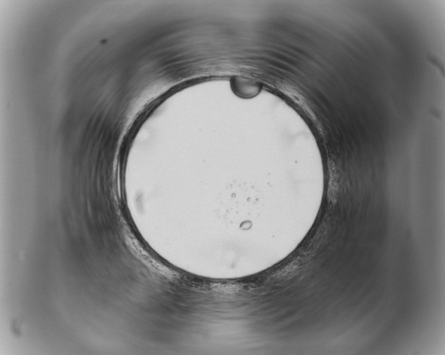 X0000102471080200809051327