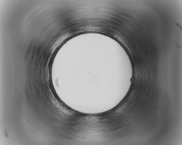 X0000102471082200809051327