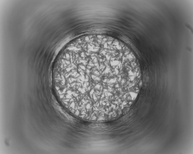 X0000102471083200809051327