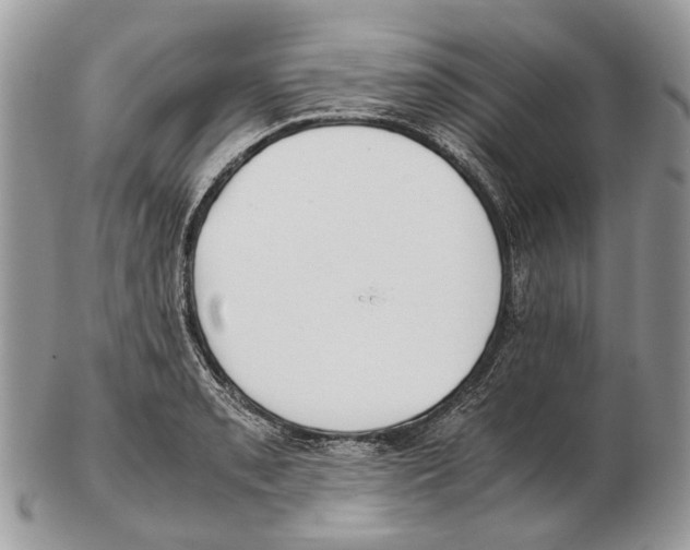 X0000102471085200809051327