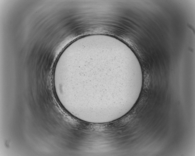 X0000102471086200809051327
