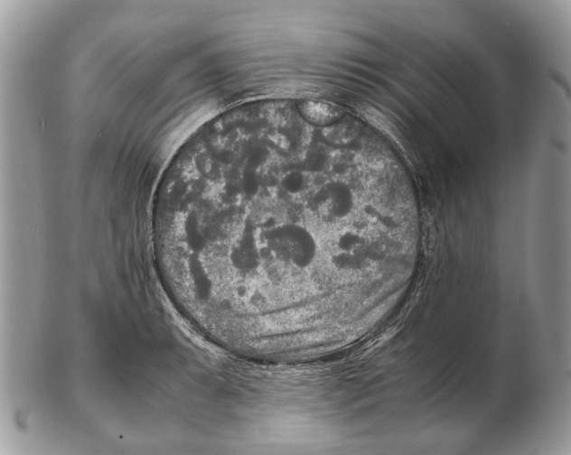 X0000102471087200809051327