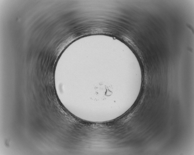 X0000102471089200809051327