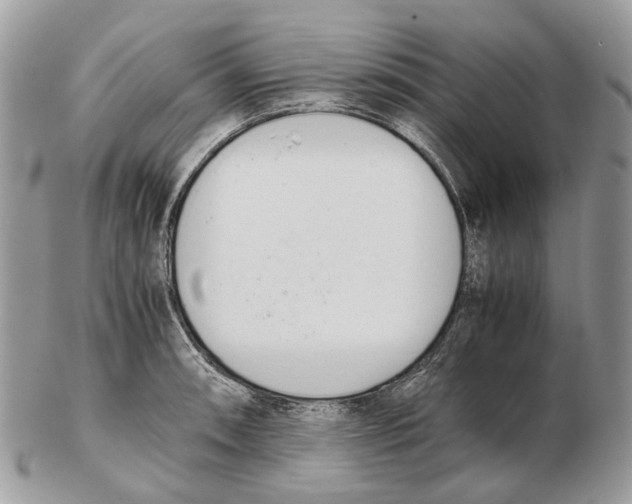 X0000102471090200809051327