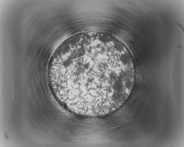 X0000102471091200809051327