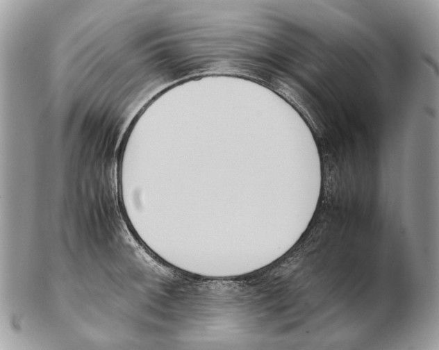 X0000102471092200809051327