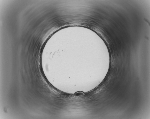 X0000102471093200809051327