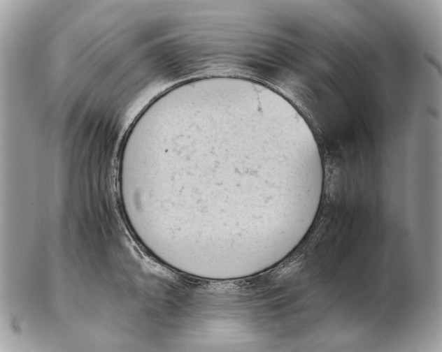 X0000102471094200809051327