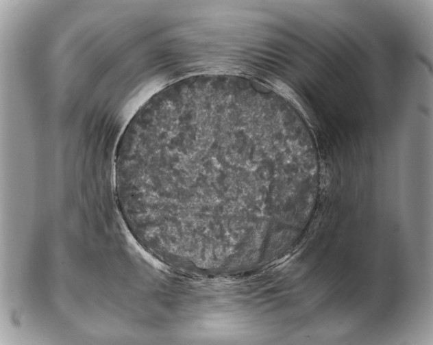 X0000102471095200809051327