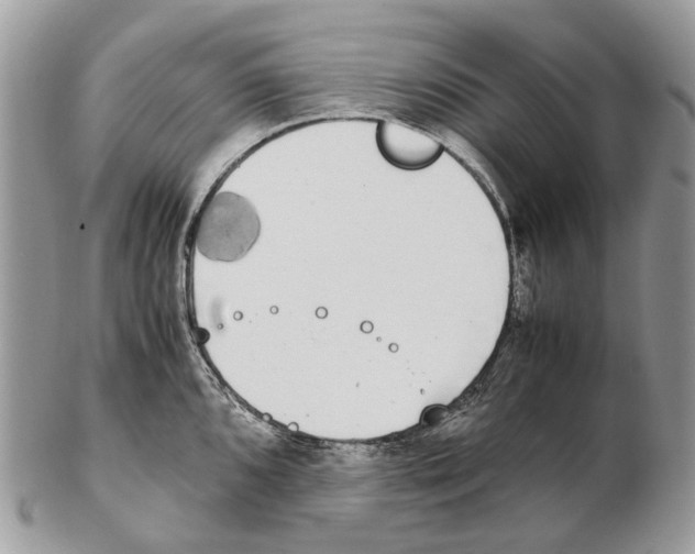 X0000102471096200809051327