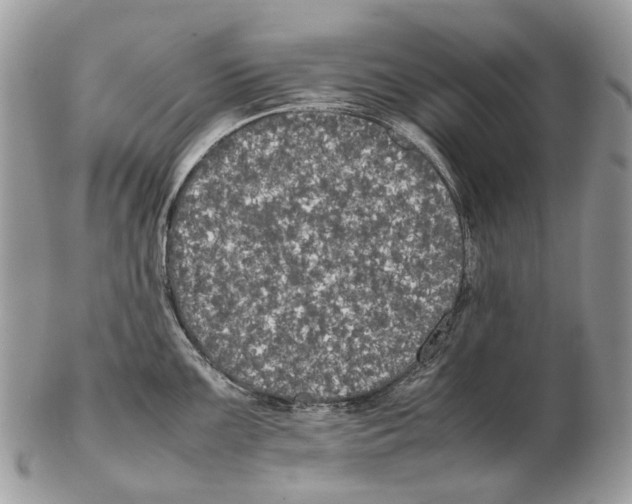X0000102471099200809051327