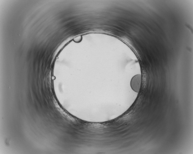 X0000102471100200809051327