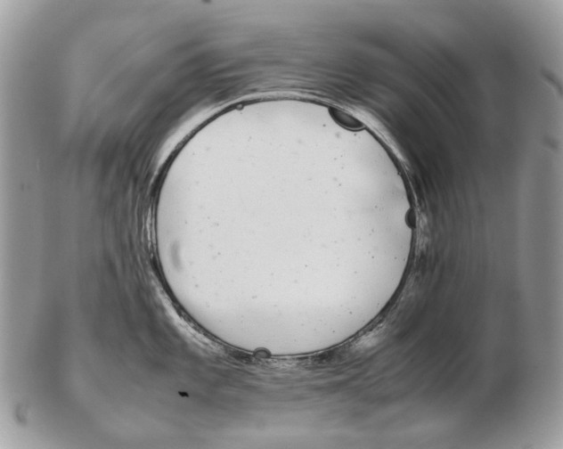 X0000102471101200809051327