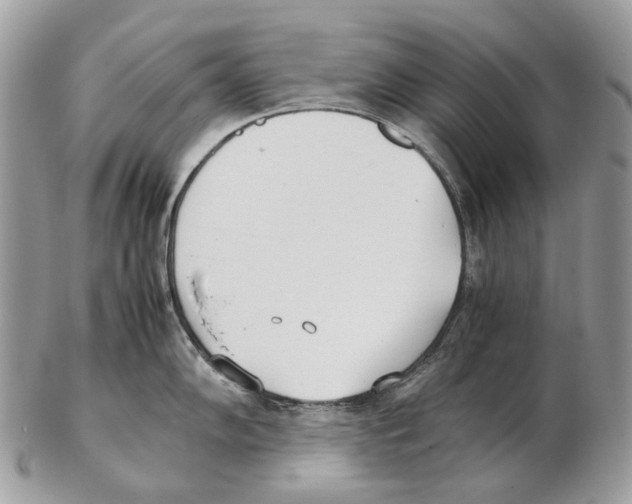 X0000102471102200809051327