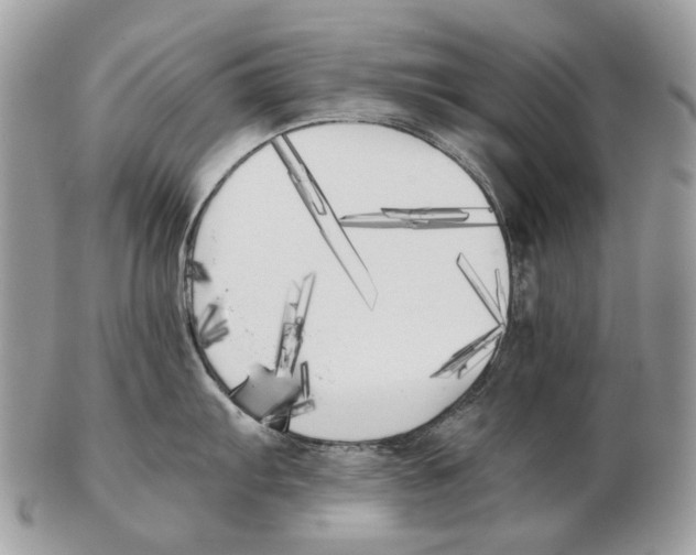 X0000102471103200809051327