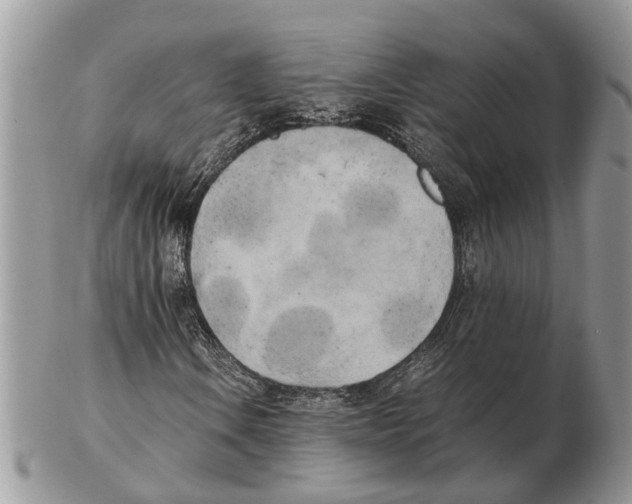 X0000102471106200809051326